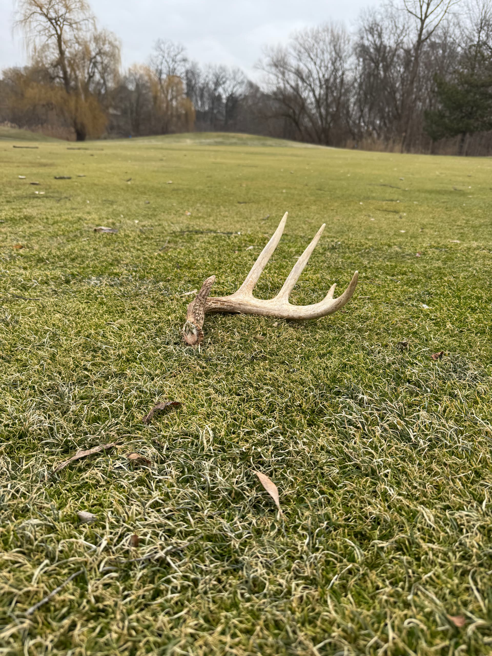 Nature Meets Innovation at Dearborn Hills Golf Course image